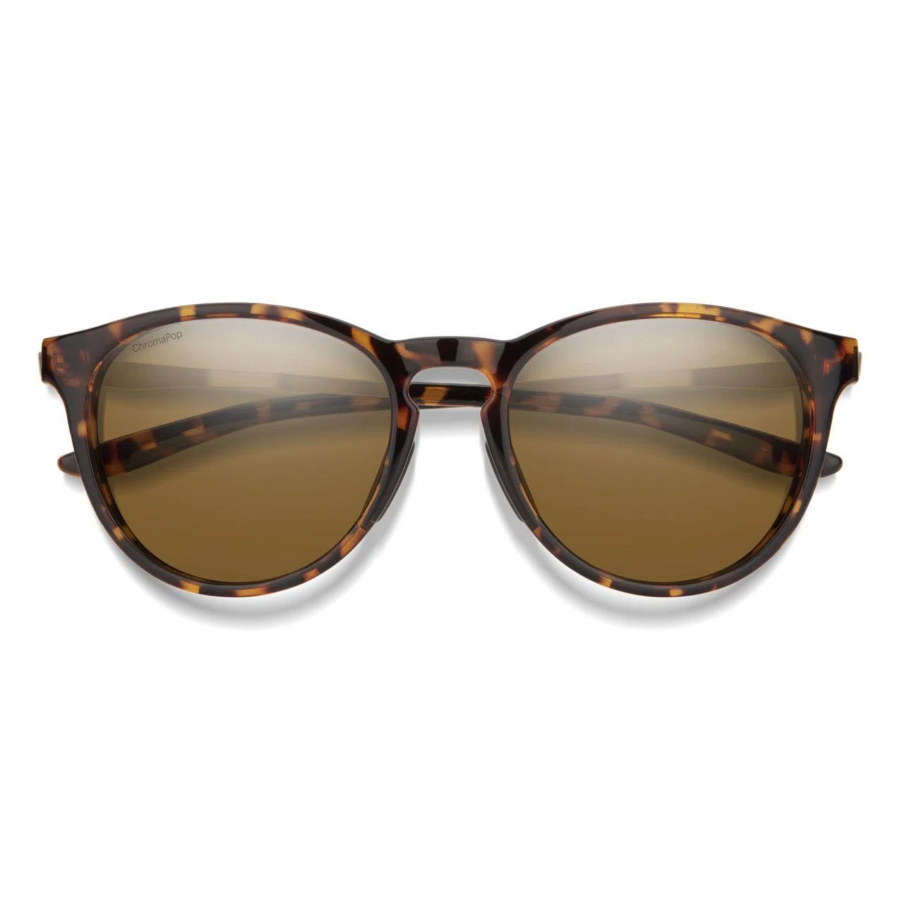 Smith Optics Lifestyle 204931 Wander Sunglasses - view 7